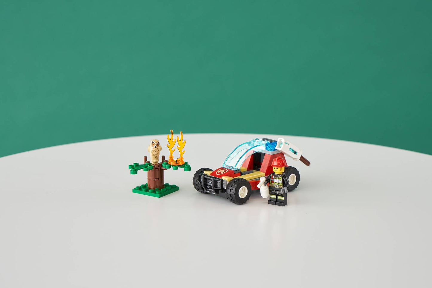 Forest Fire | 60247
