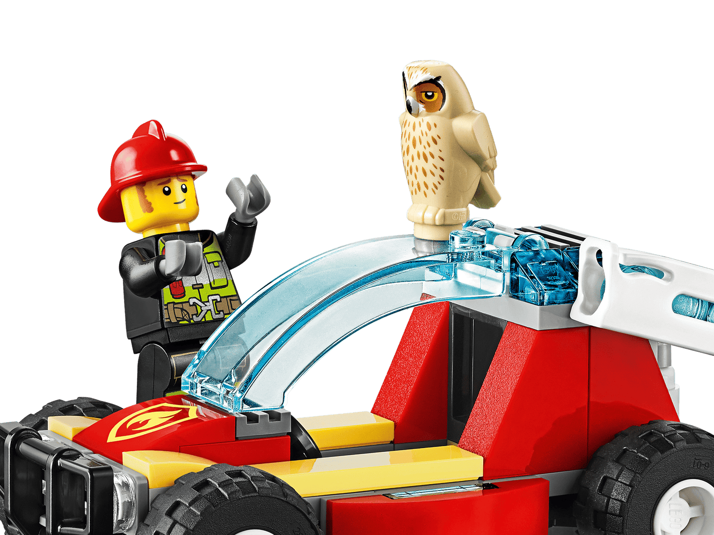 Forest Fire | 60247