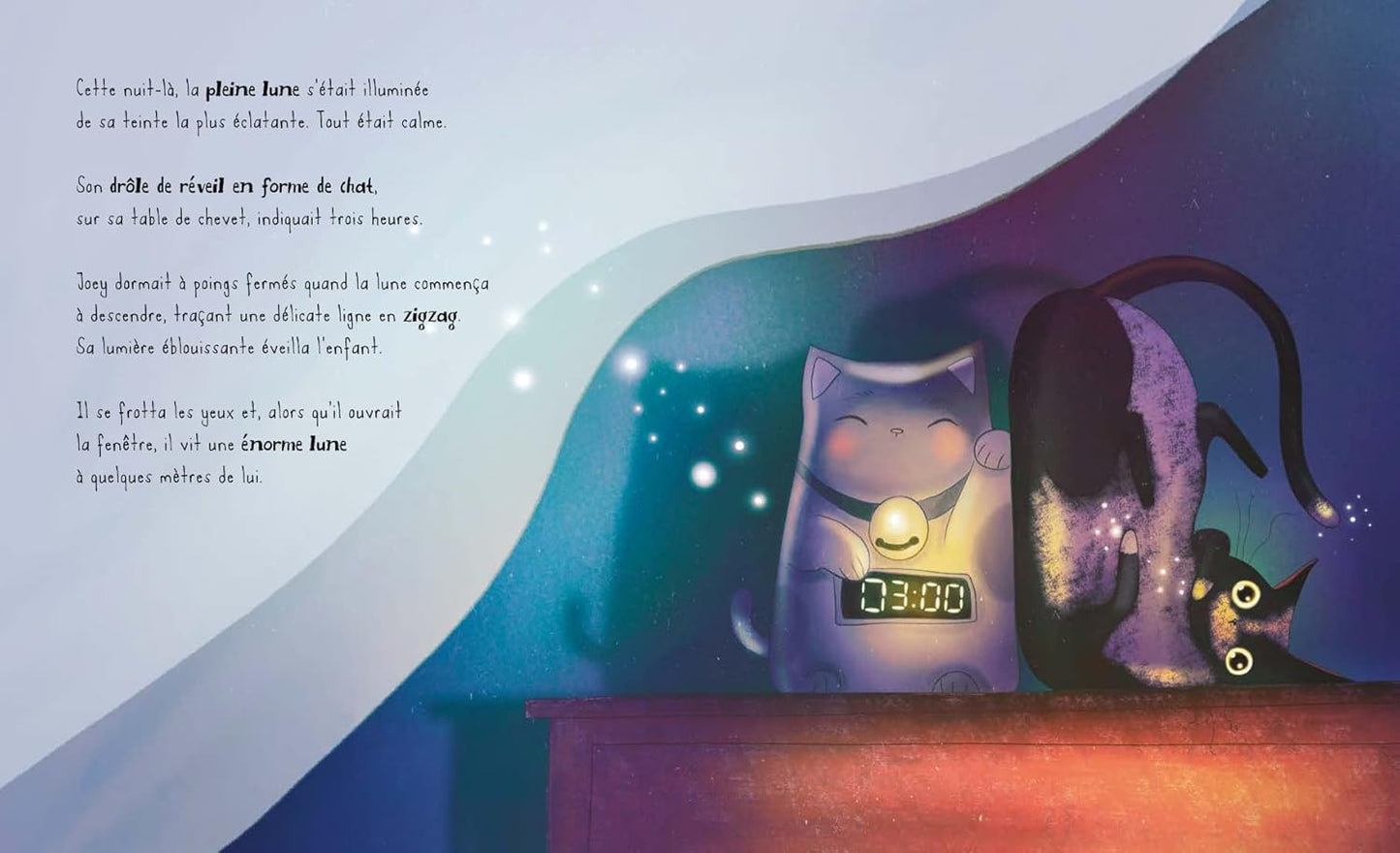 Sassi PICTURE BOOKS - JOEY ET LA LUNE