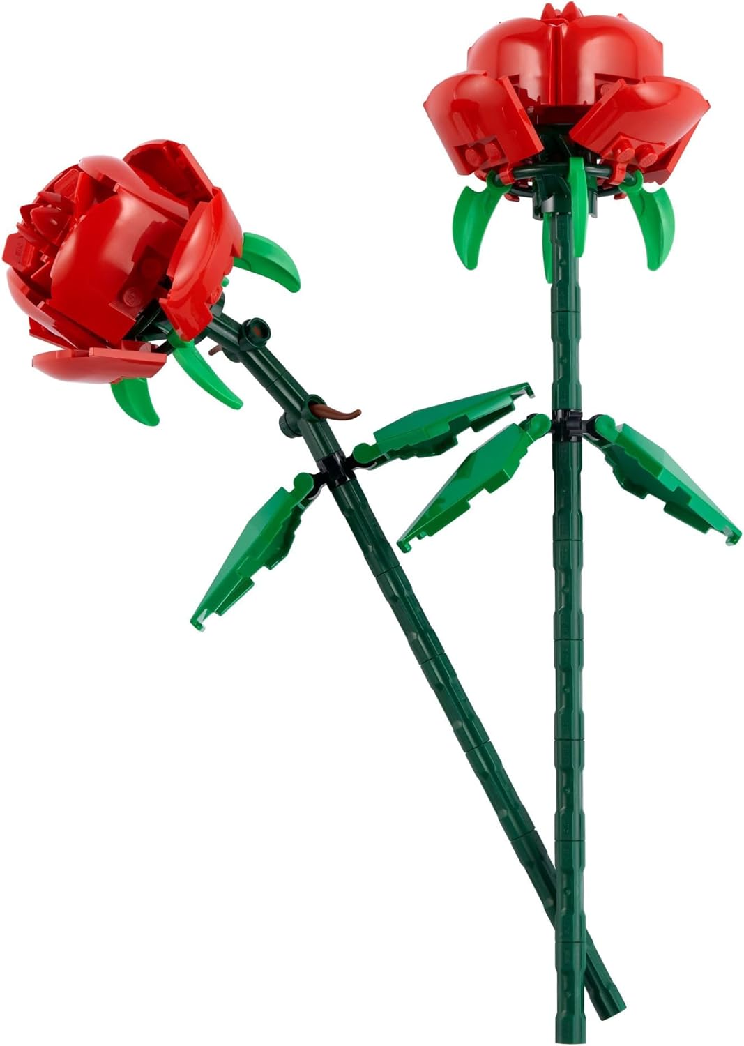 Roses | 40460