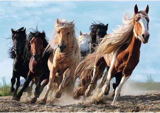 Trefl Puzzle: Galloping Horses 1000 Piece
