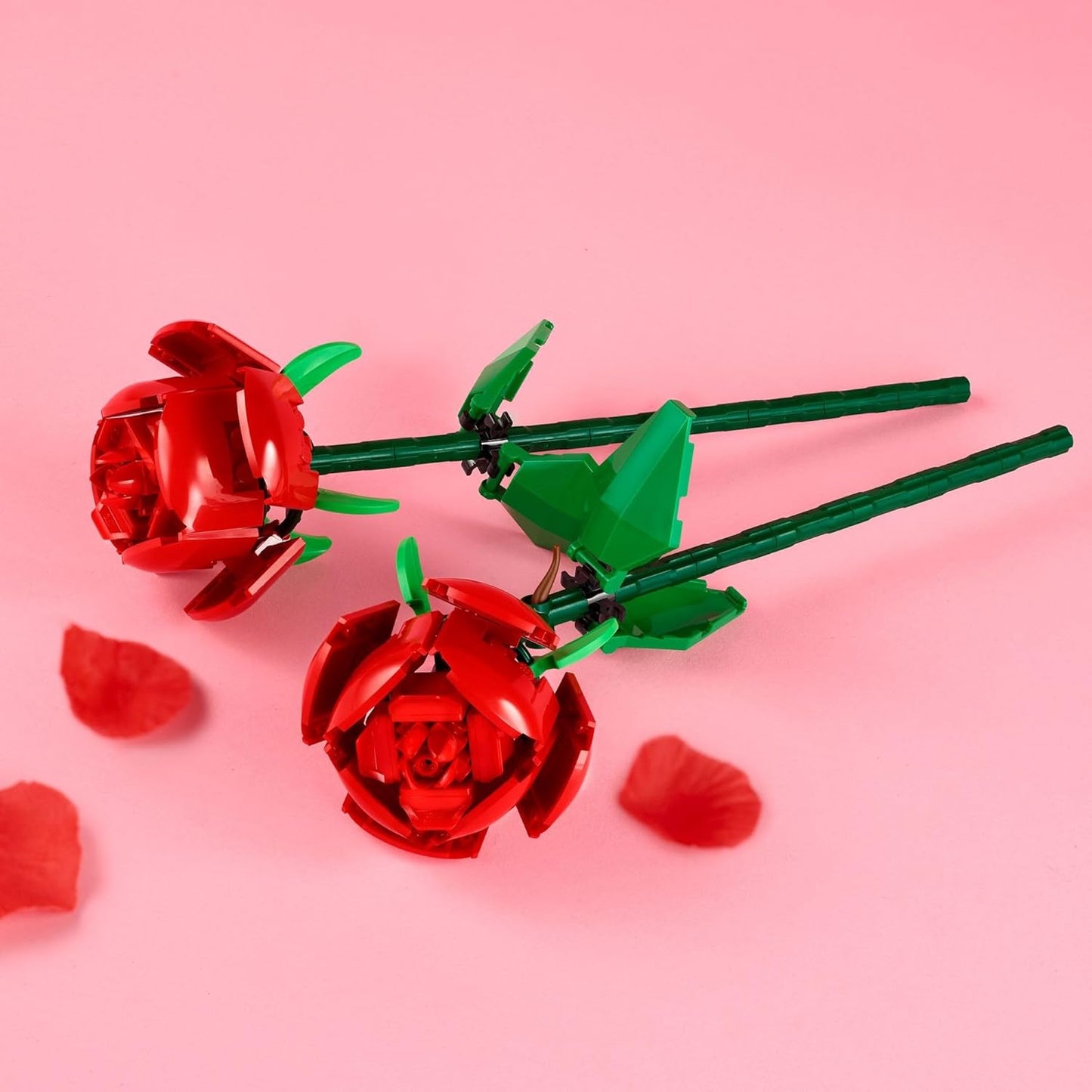 Roses | 40460