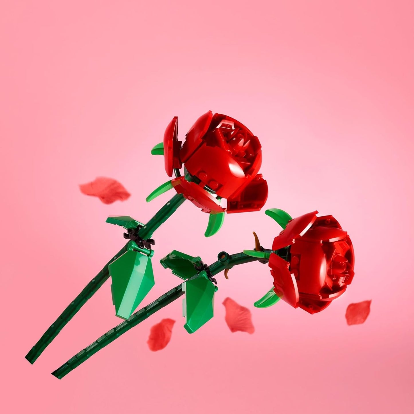 Roses | 40460