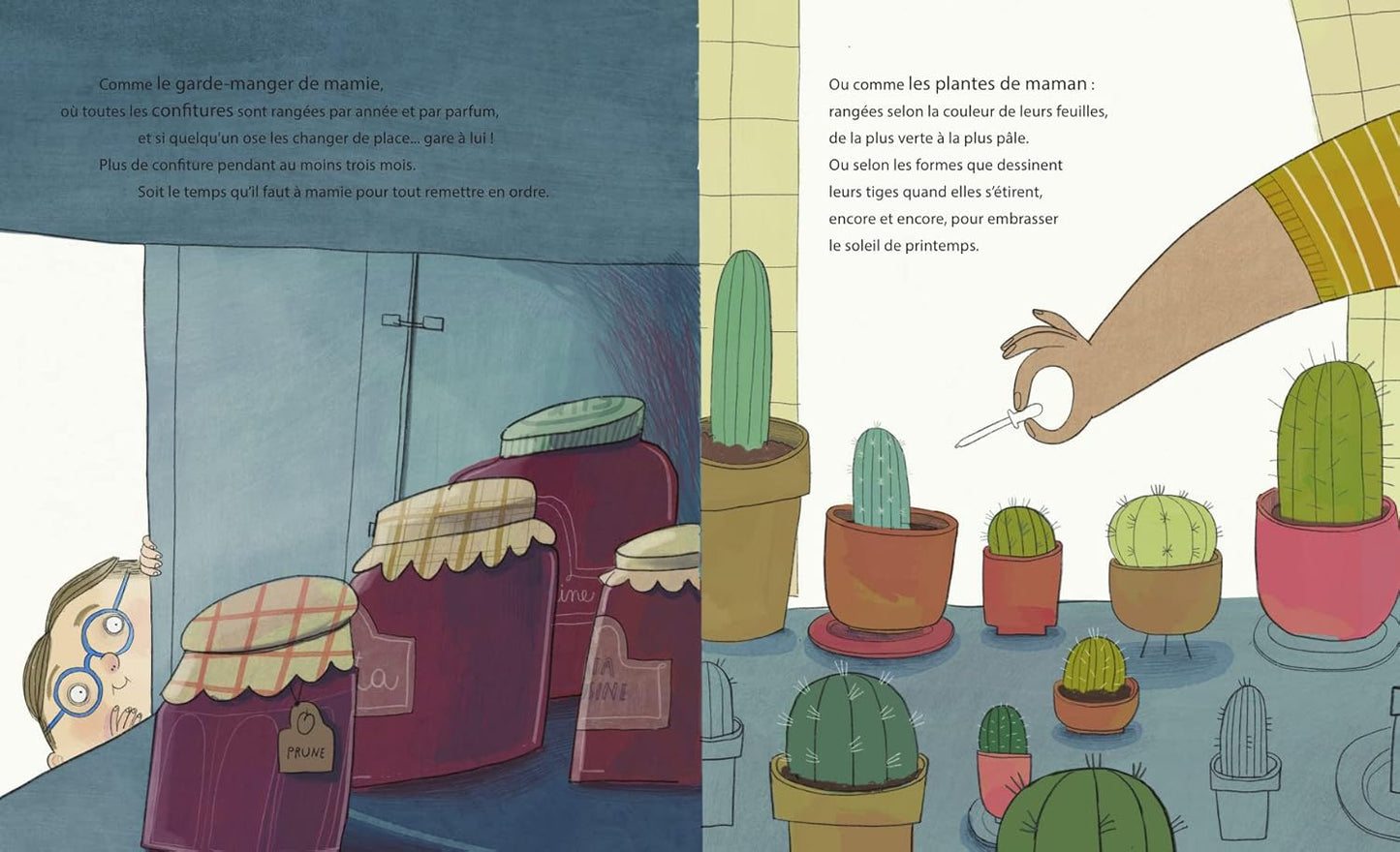 Sassi  BOOKS-LE MONDE DES CHAUSSETTES