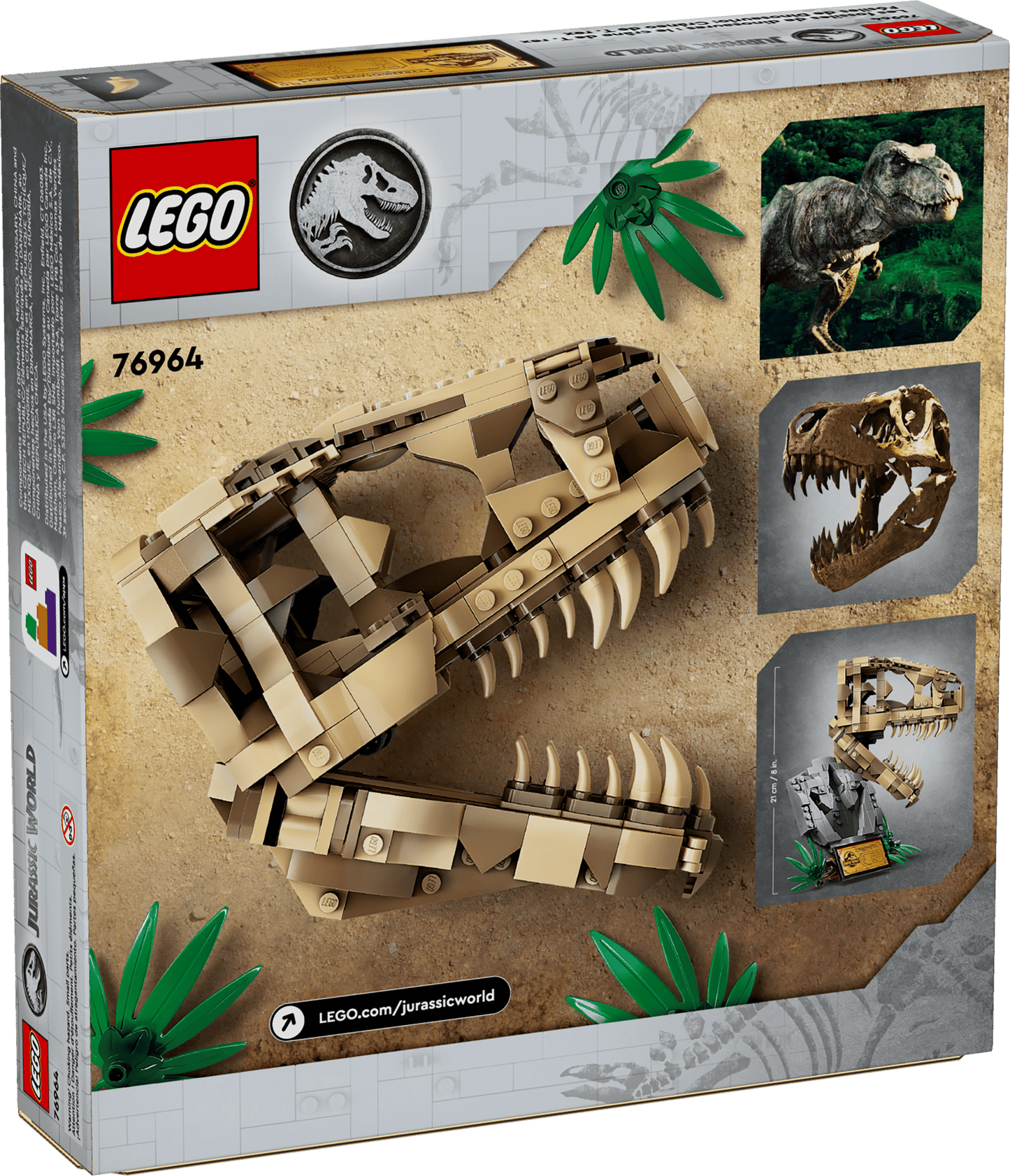 Dinosaur Fossils: T. rex Skull | 76964