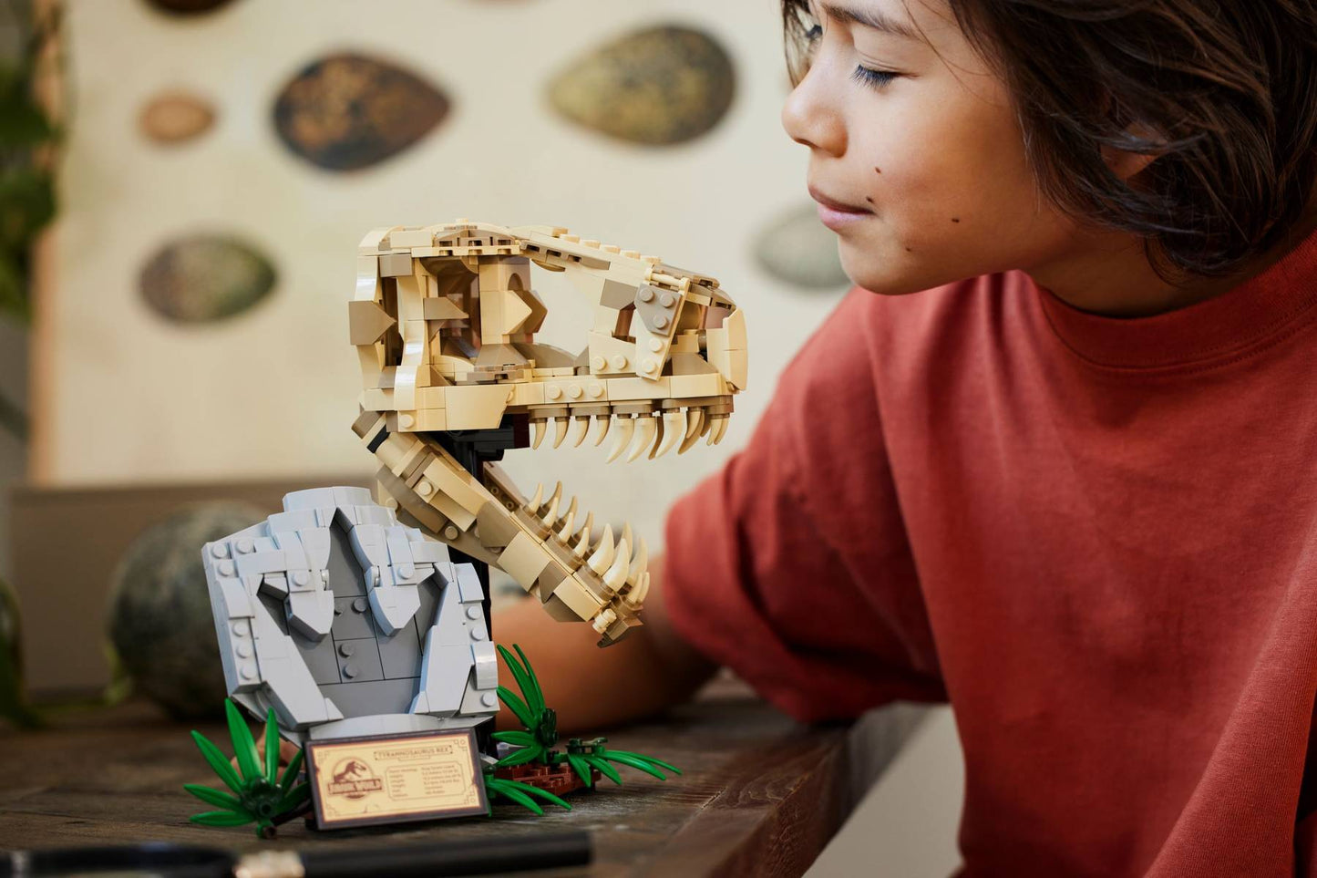 Dinosaur Fossils: T. rex Skull | 76964