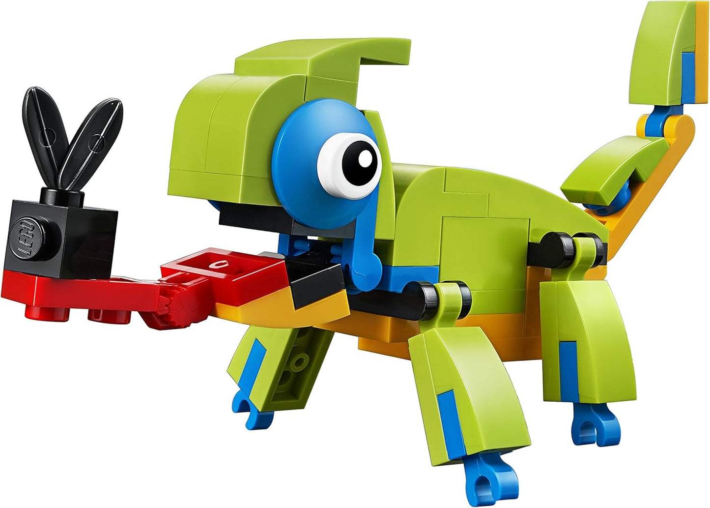 Colorful Chameleon | 30477