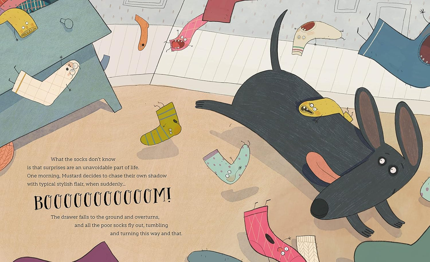 Sassi PICTURE BOOKS - SOCK WORLD 30P