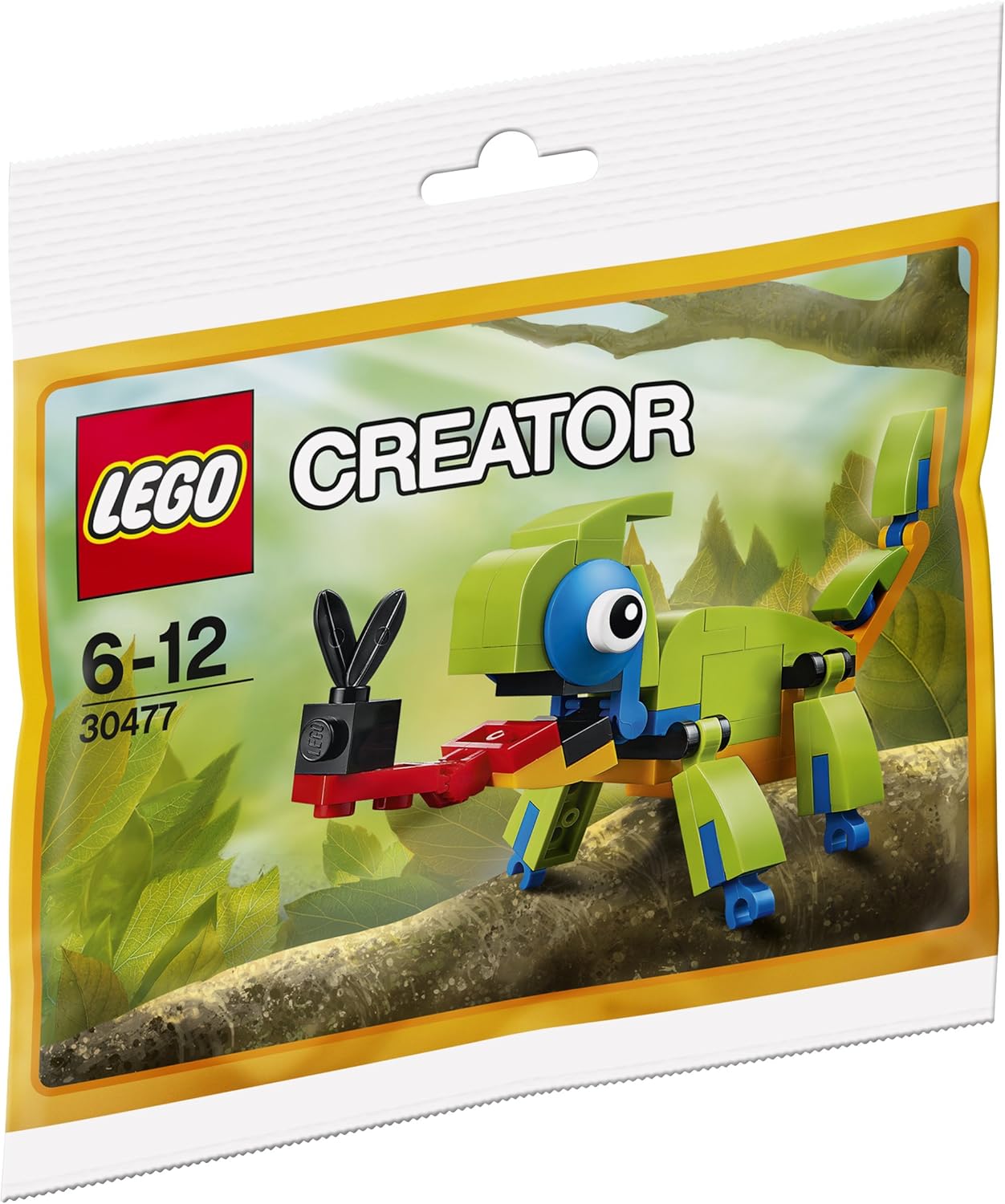 Colorful Chameleon | 30477