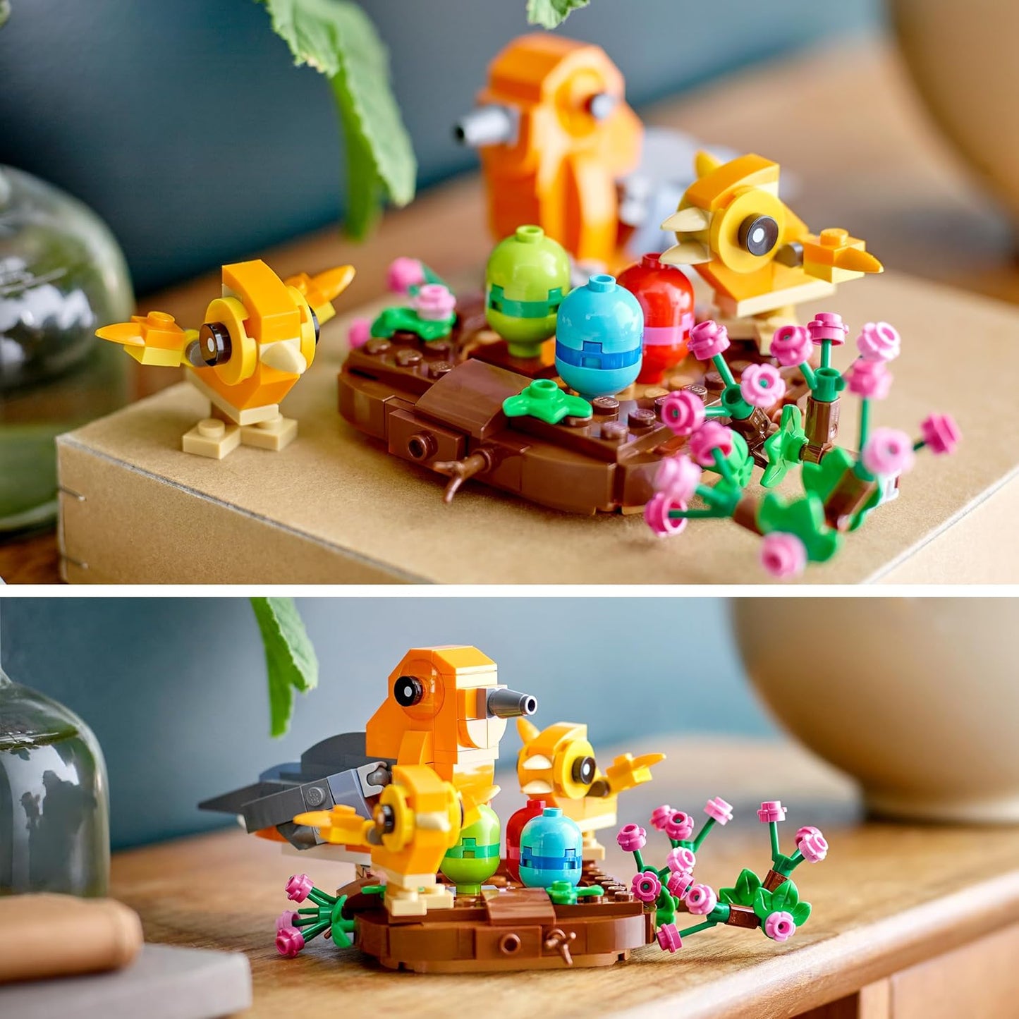 Bird's Nest | 40639