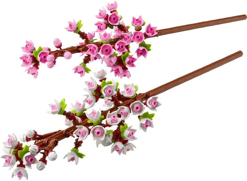 Cherry Blossoms | 40725