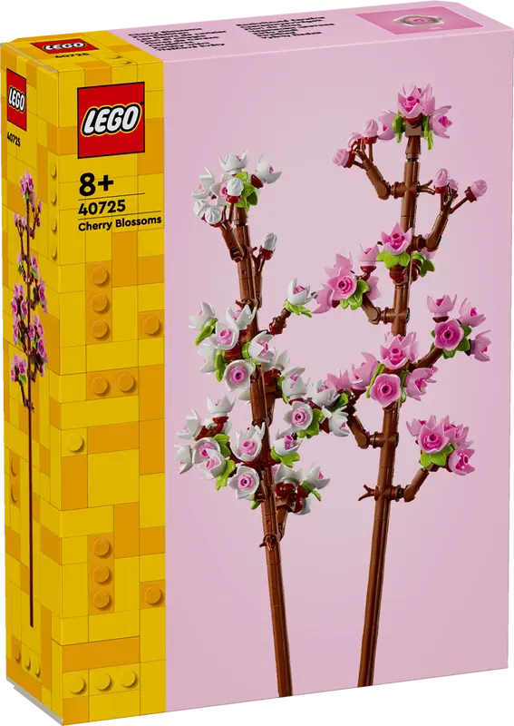 Cherry Blossoms | 40725
