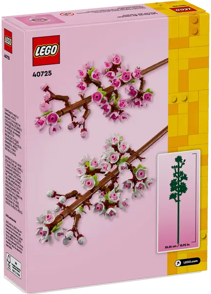Cherry Blossoms | 40725