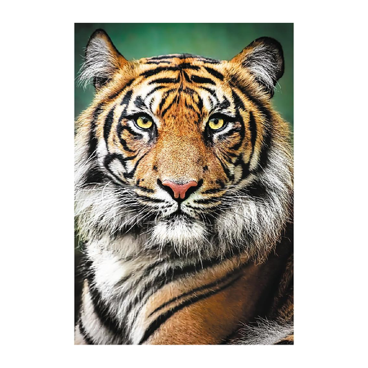 Trefl Puzzle: Portrait of a Tiger - 1500 Pieces